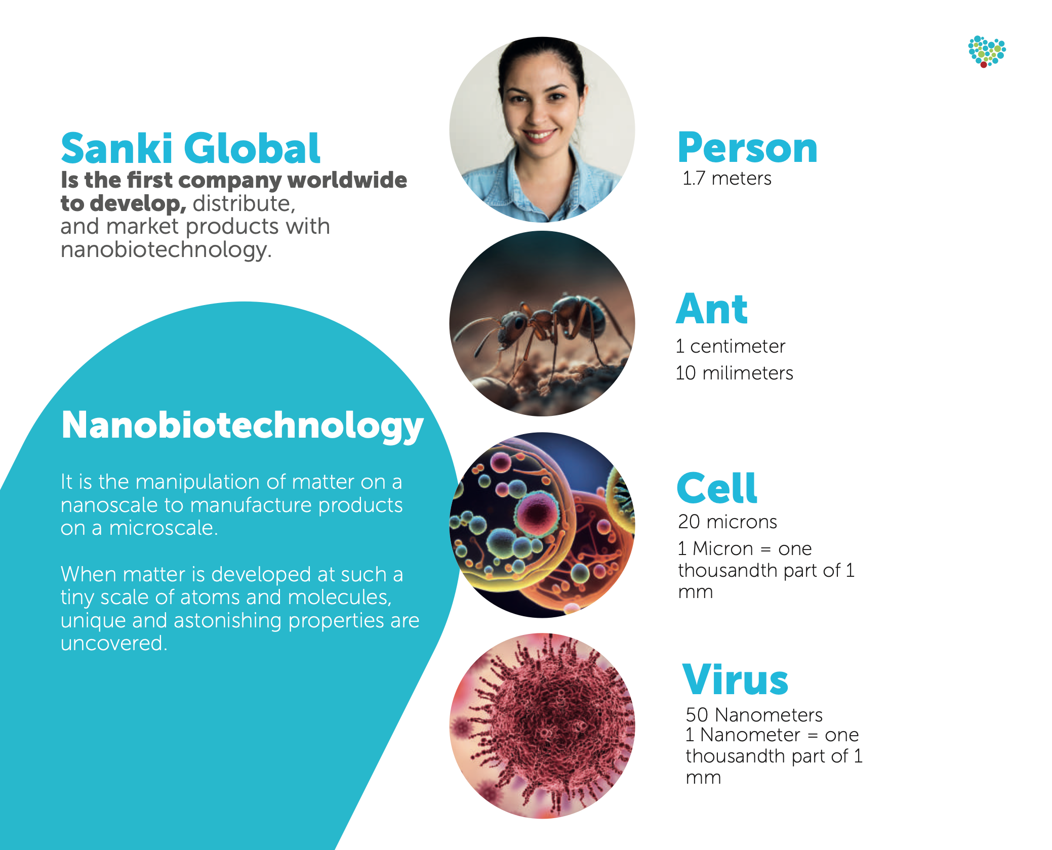 Picture describing how nano biotechnology works 