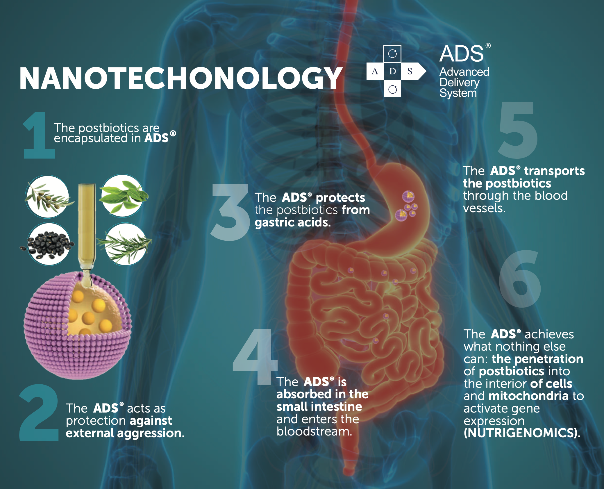 Picture of how nanotechnology works