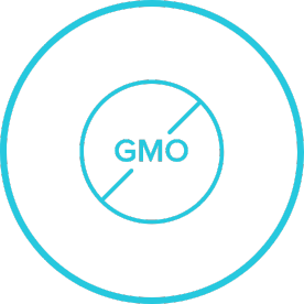 No gmo image on transparent background